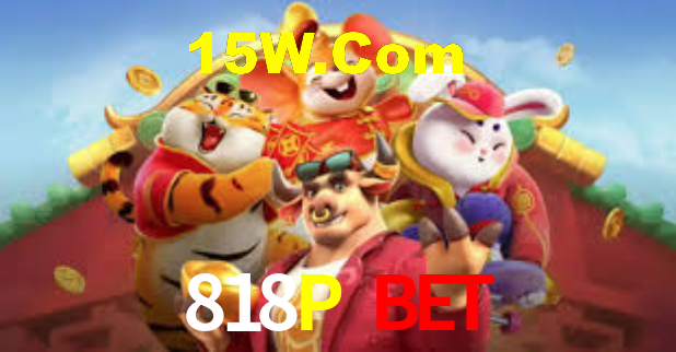 818P Bet - Installation Guide